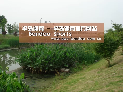 案例展示四(图1)