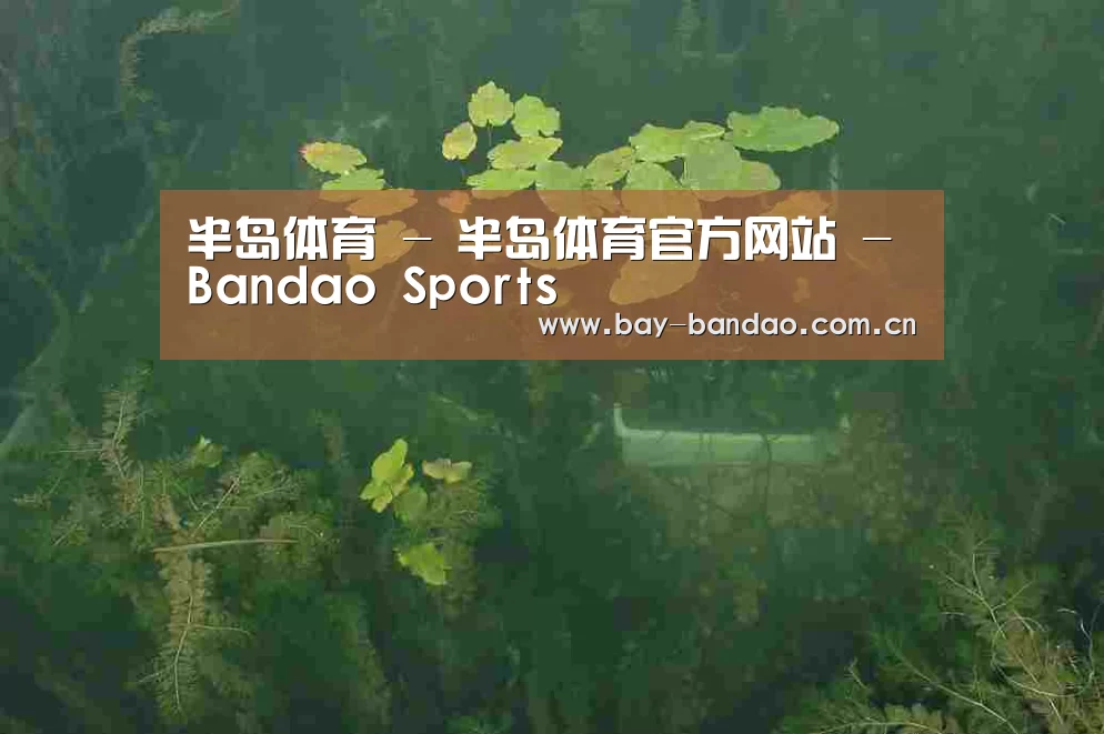 案例展示三(图1)