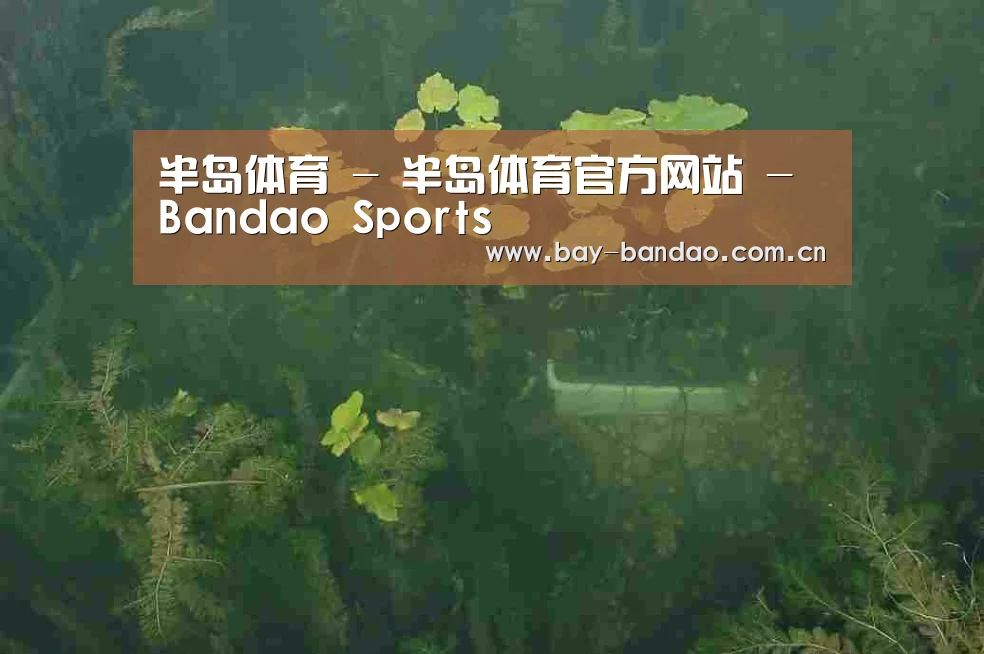 案例展示三